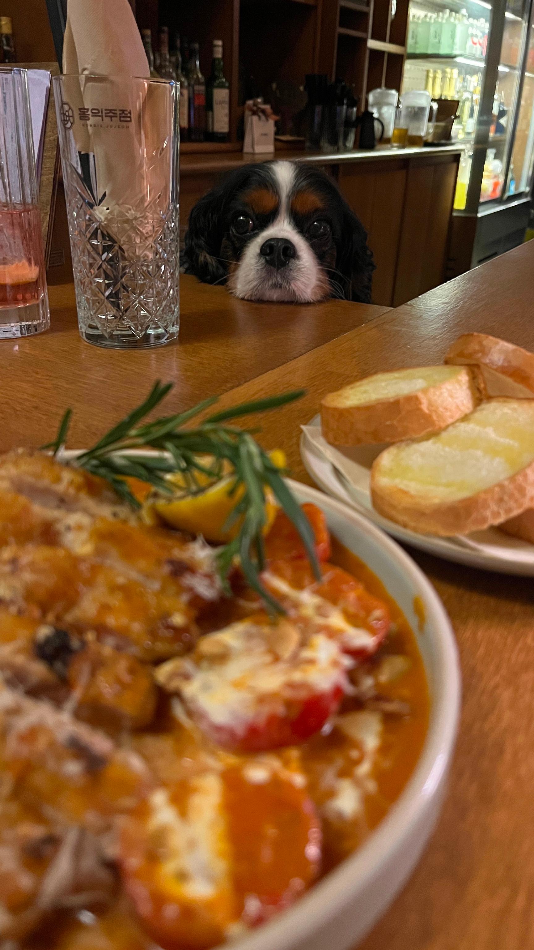 Hongik Jujeom dining bar plates and highballs in Wangsimni