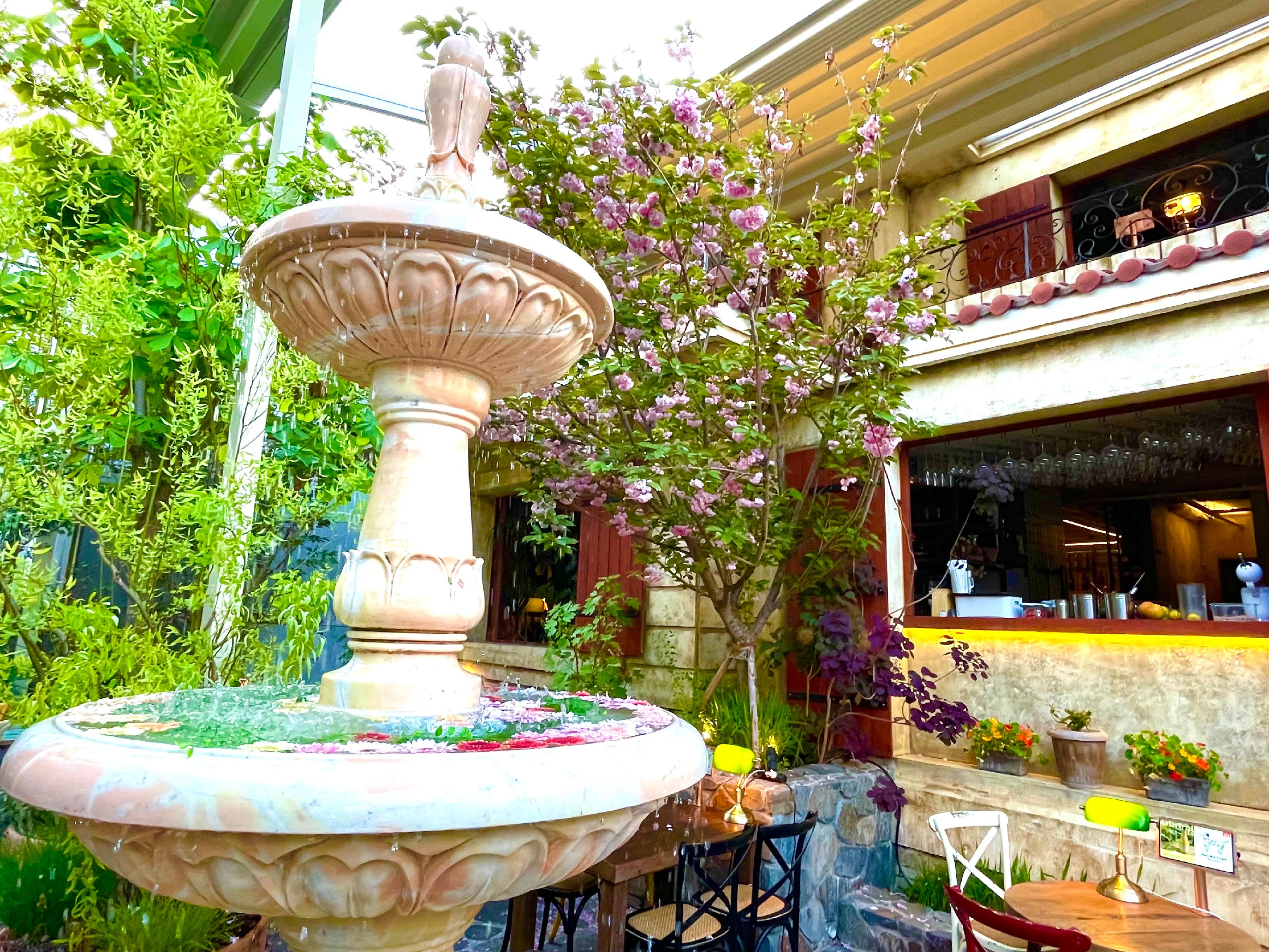 Sunlit garden terrace at Dalmatian Apgujeong