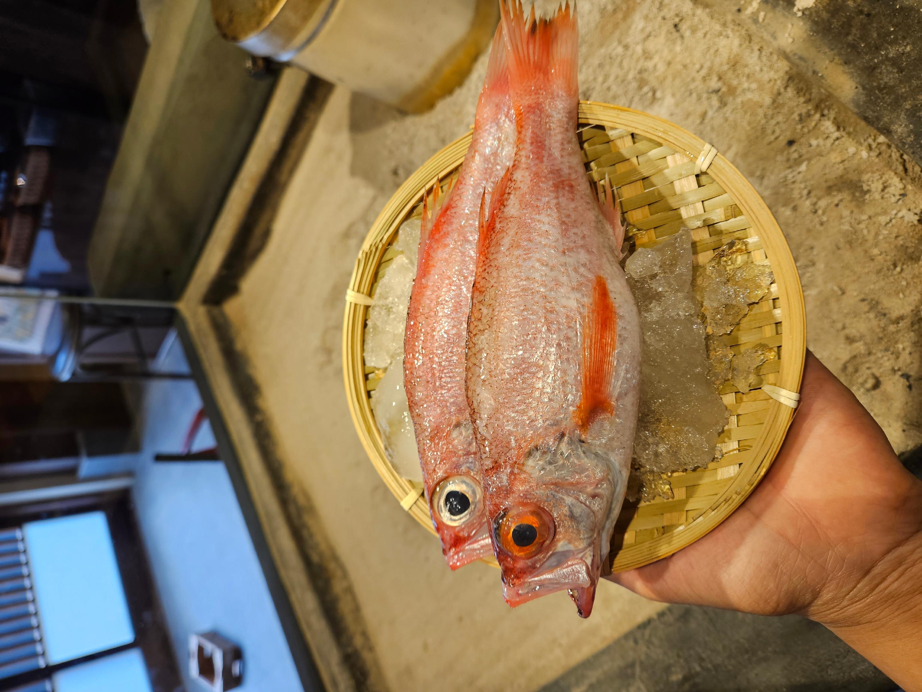 Pachi Pachi irori grill with fish and highballs