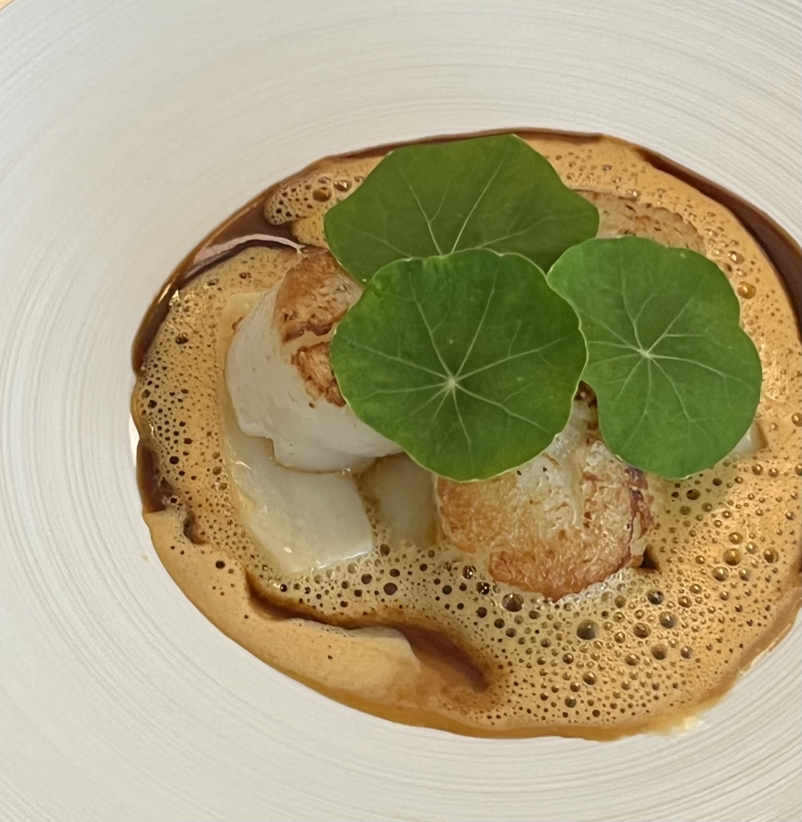 Toomutt shelves of natural wine and small plates