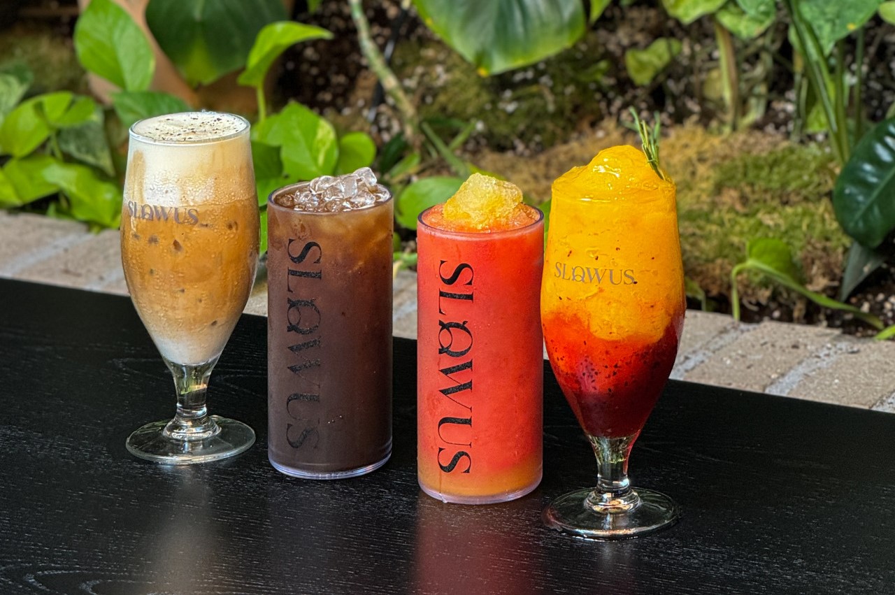 蚕室石村湖Slowus室内森林与主厨早午餐