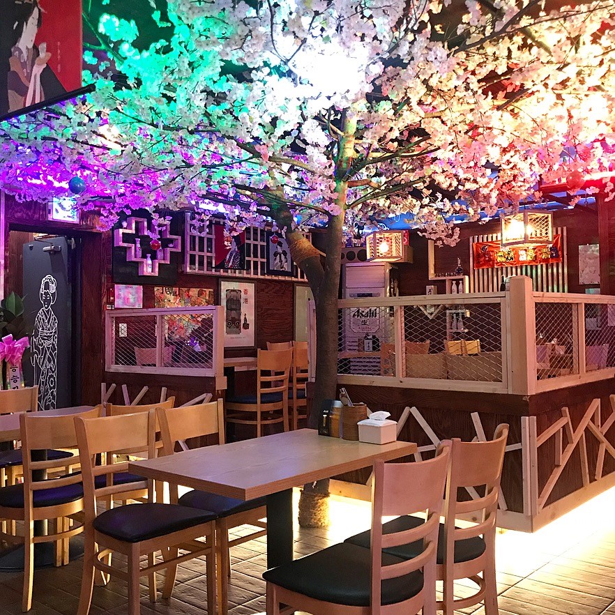 Odori居酒屋酒吧，櫻花裝飾與生魚片