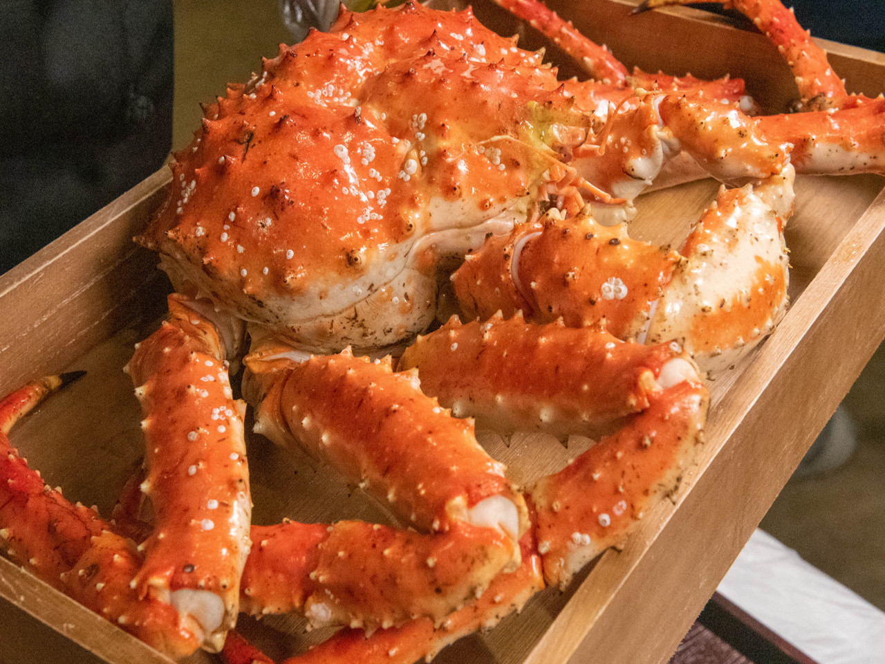 Mr Crab室内水族箱，活龙虾与帝王蟹展示