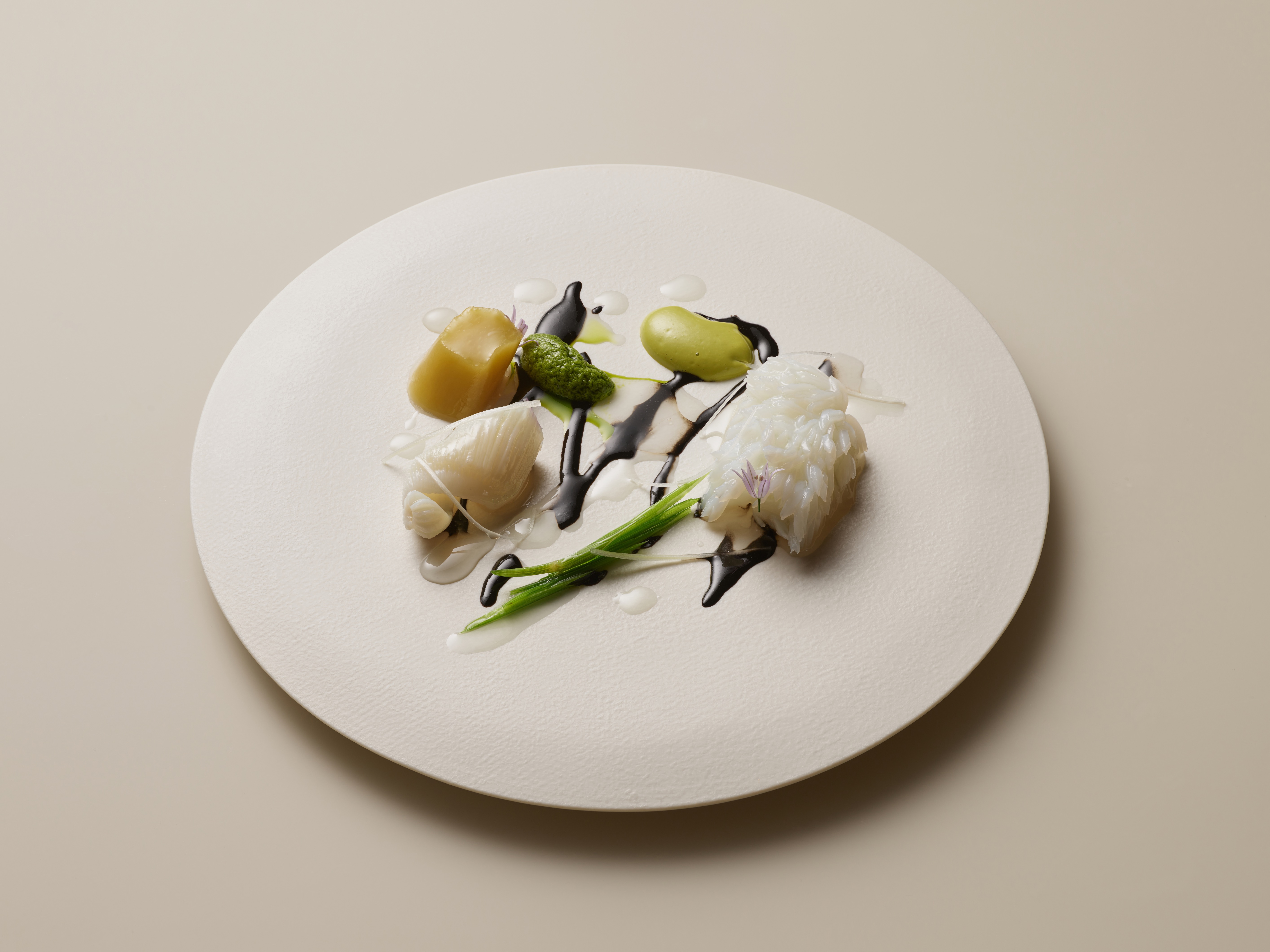 SAN contemporary tasting menu courses in minimalist plating