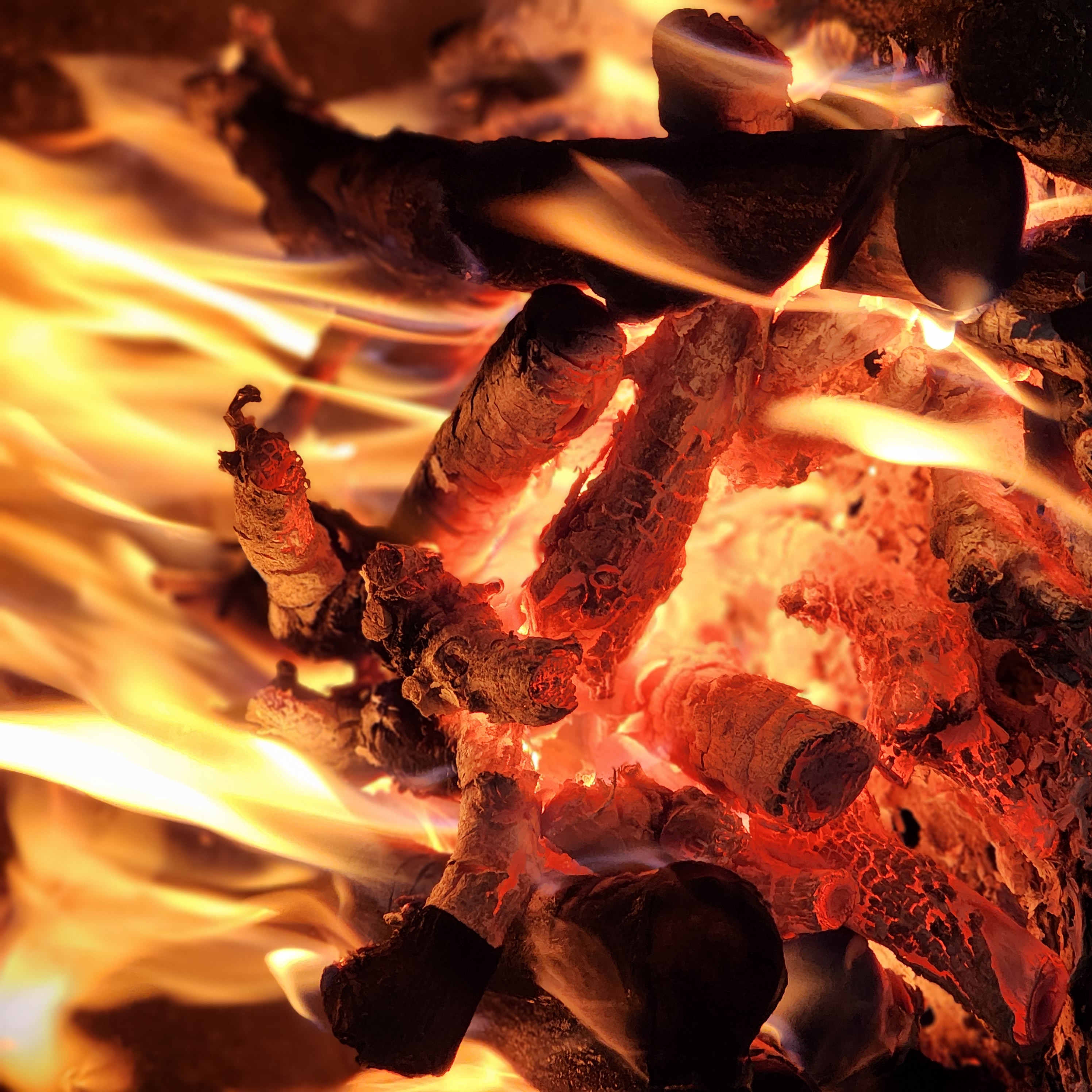 Elkote wood-fired steak sliced and plated with wine