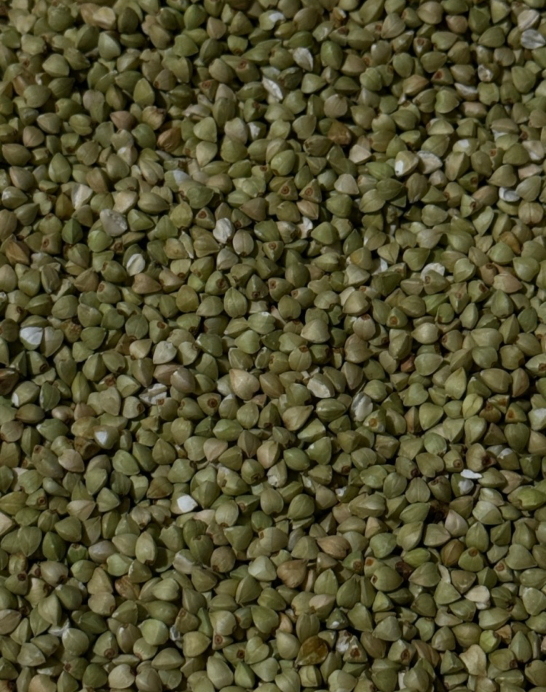 Sobajuu buckwheat noodles and tempura course - Image 3