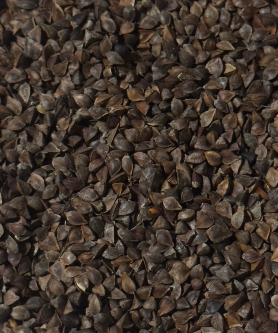 Sobajuu buckwheat noodles and tempura course - Image 4