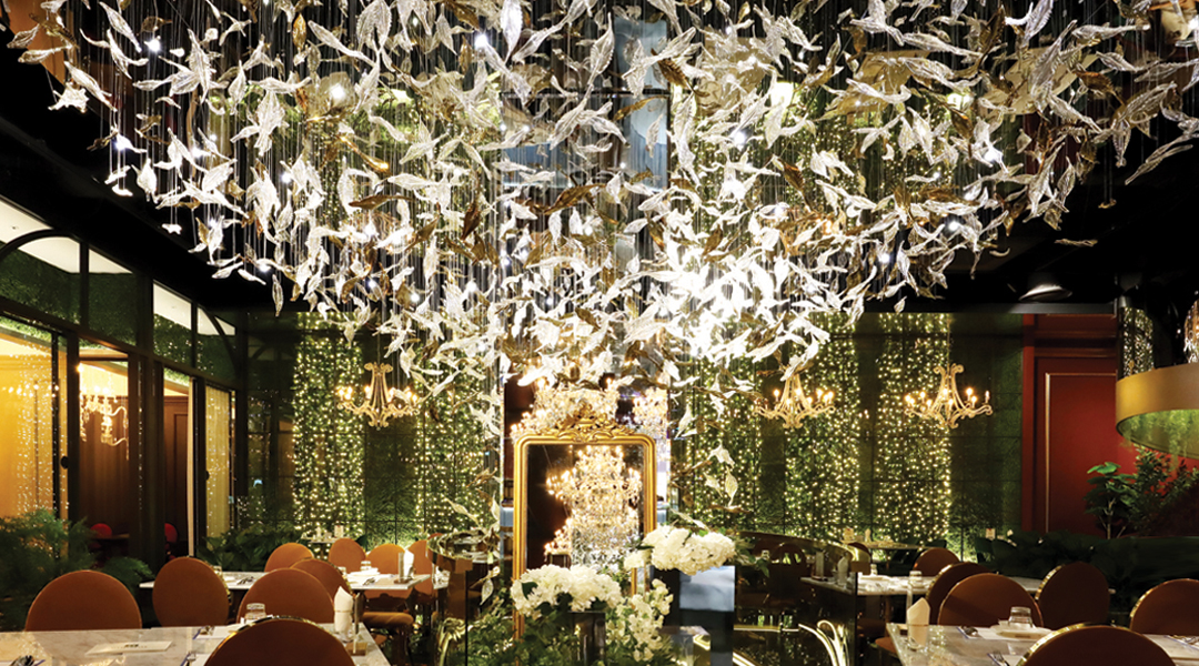 D-Lifestyle Kitchen 低炭水化物ヨーロッパ料理