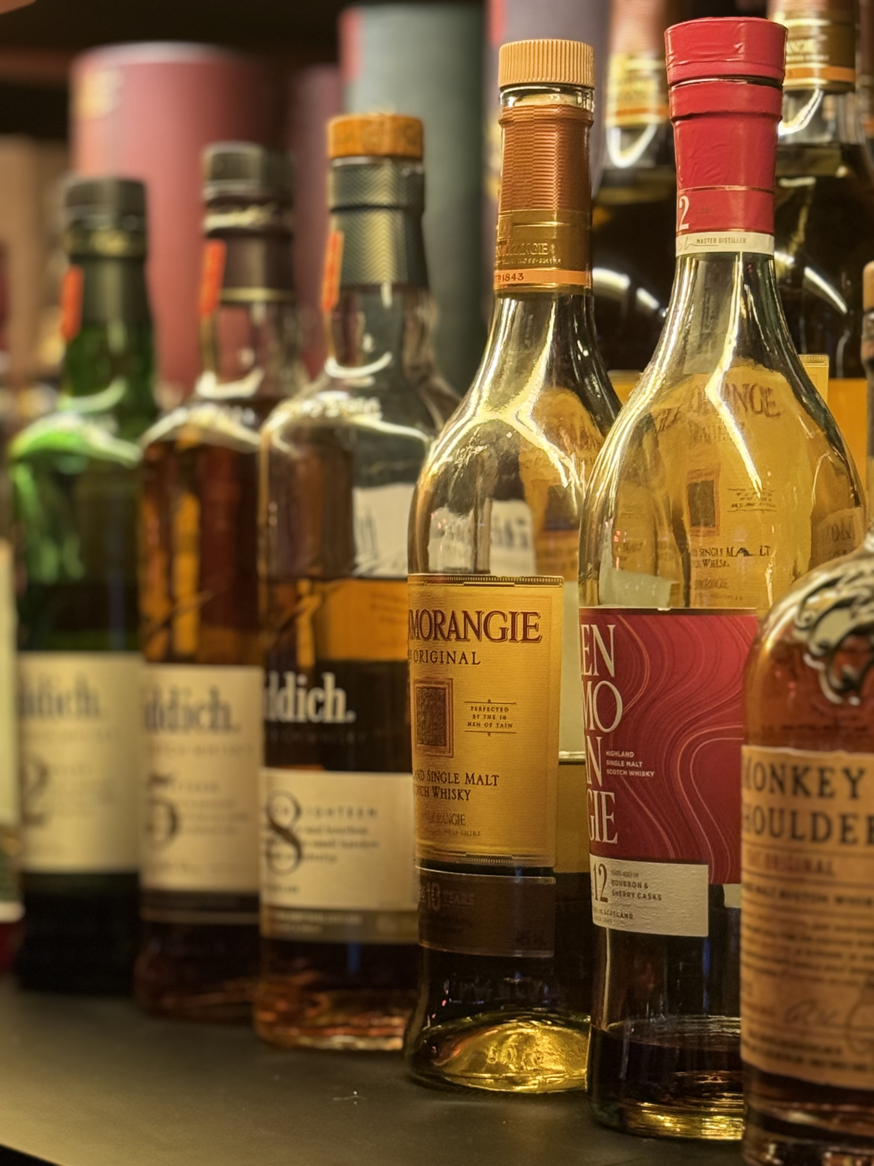 Bebop A Lula 現場演出與氣泡酒