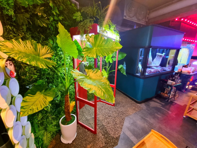 Wootopia image 5