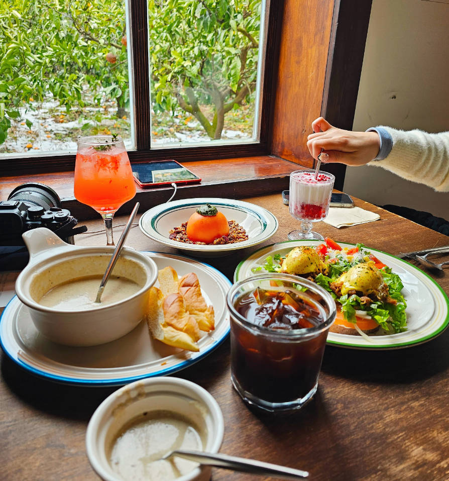 南山里茶屋早午餐，俯瞰濟州柑橘園
