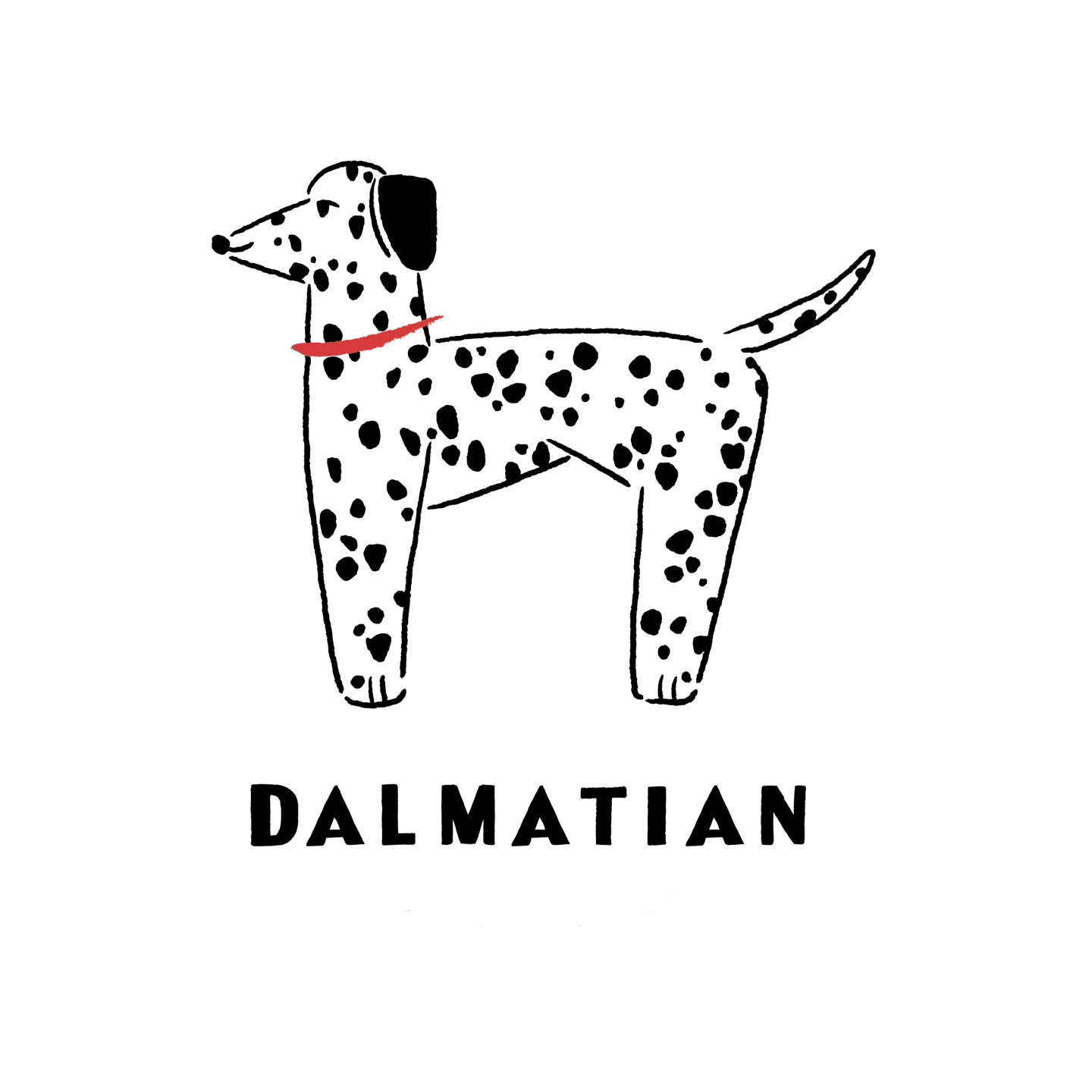 dalmatian-starfield-suwon