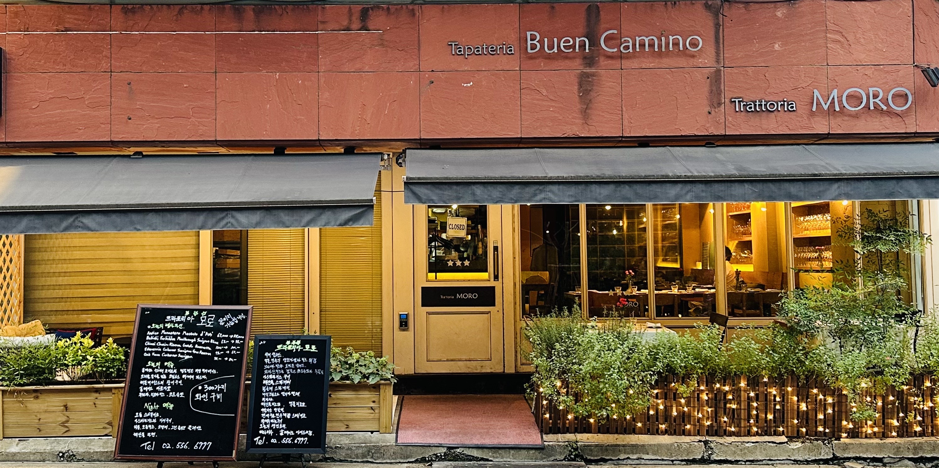 Trattoria Moro lamb chops lunch and wine pairing near COEX