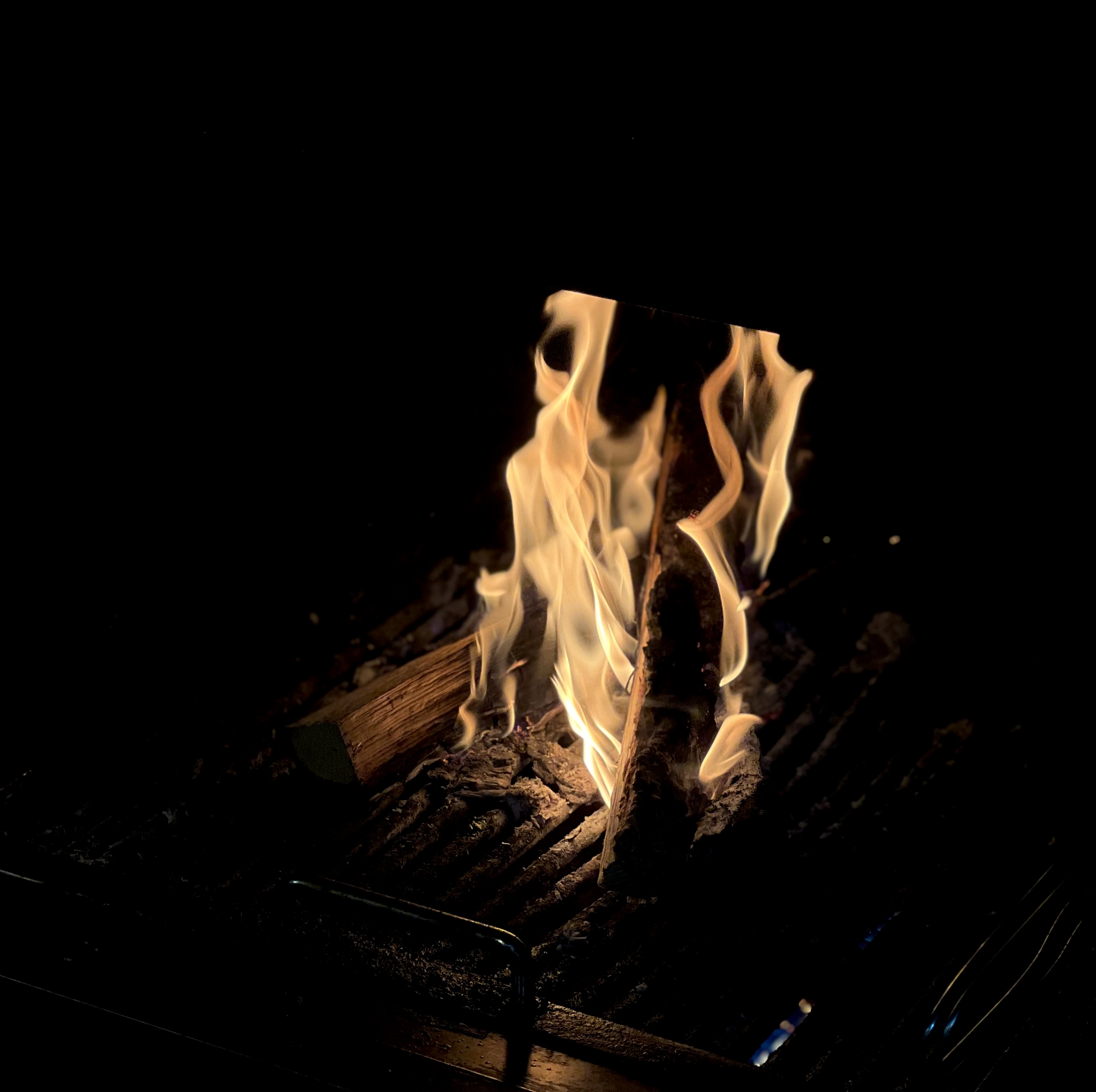 611 woodfire seasonal plates over glowing embers