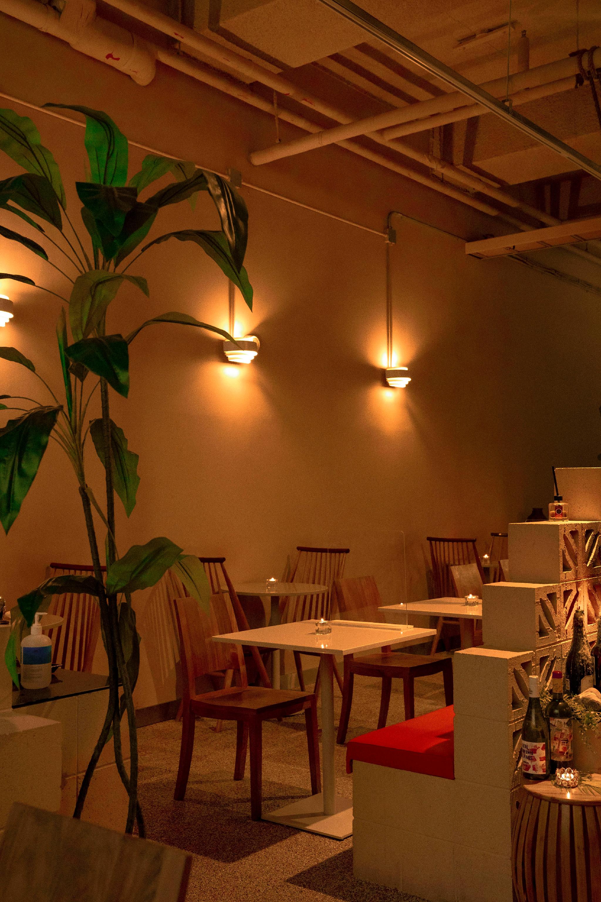 szimpatikusカジュアルワインバーのテーブル、パンとチーズ