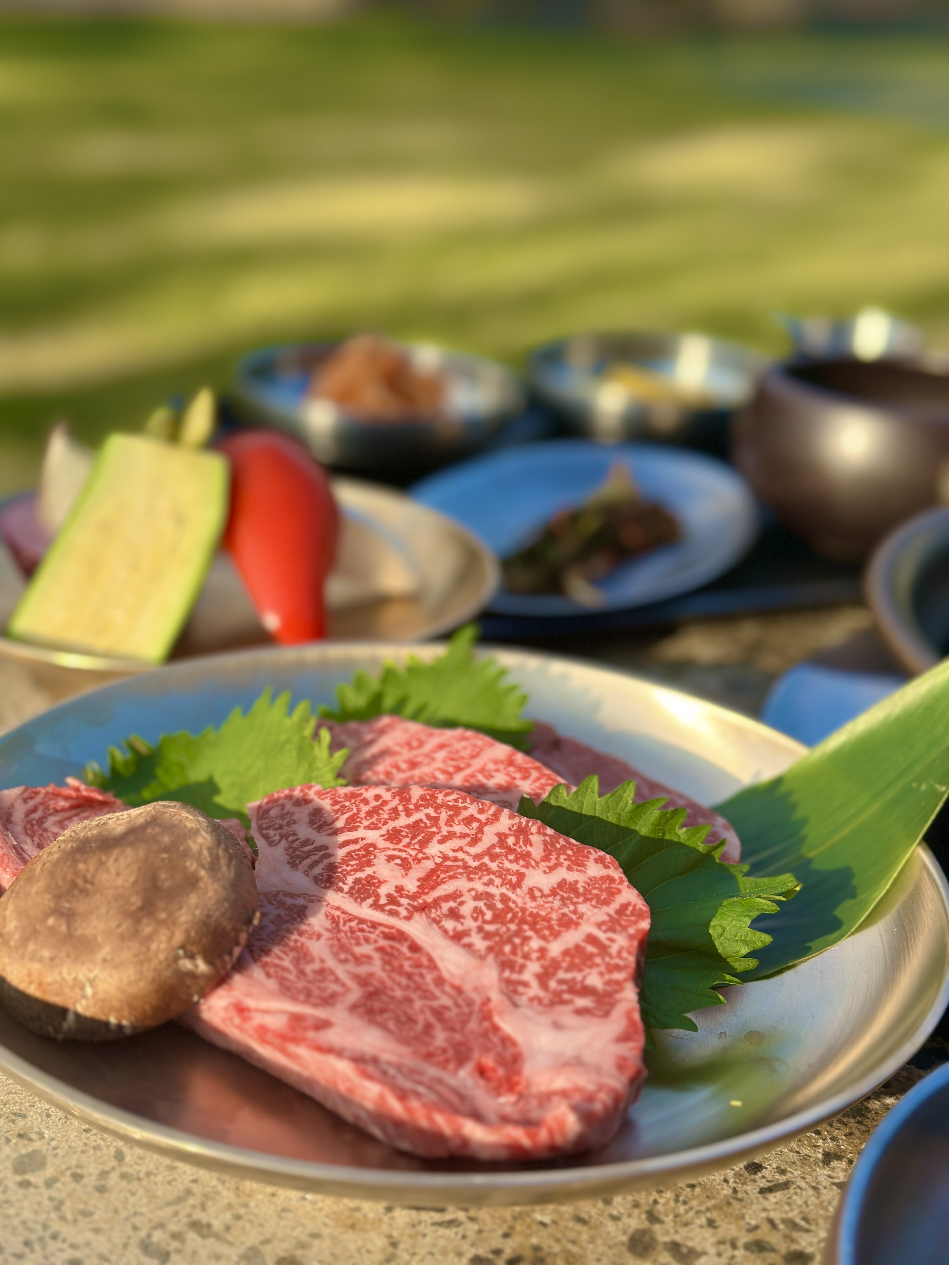 Boreumsup outdoor garden and kiln-style black pork