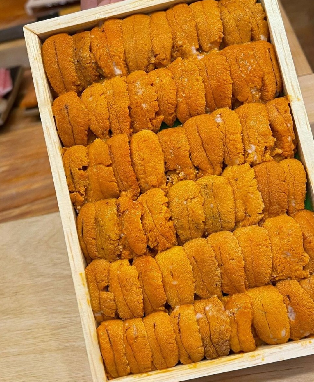 GOURMET SUSHI omakase with Hokkaido uni