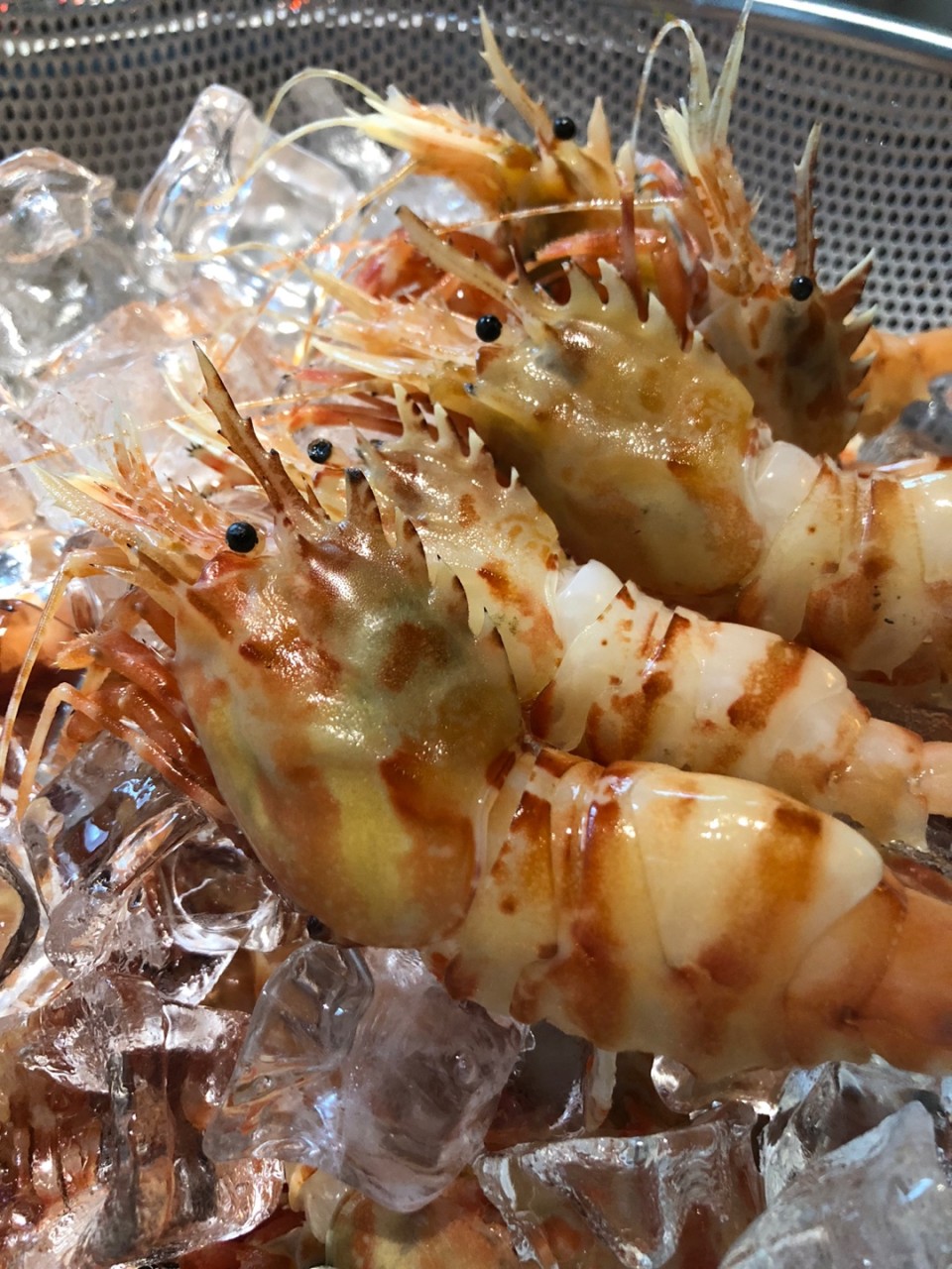 Euljiloboseog counter dining and signature perilla oil octopus pasta