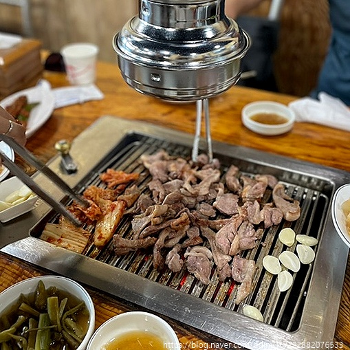 가나안오리