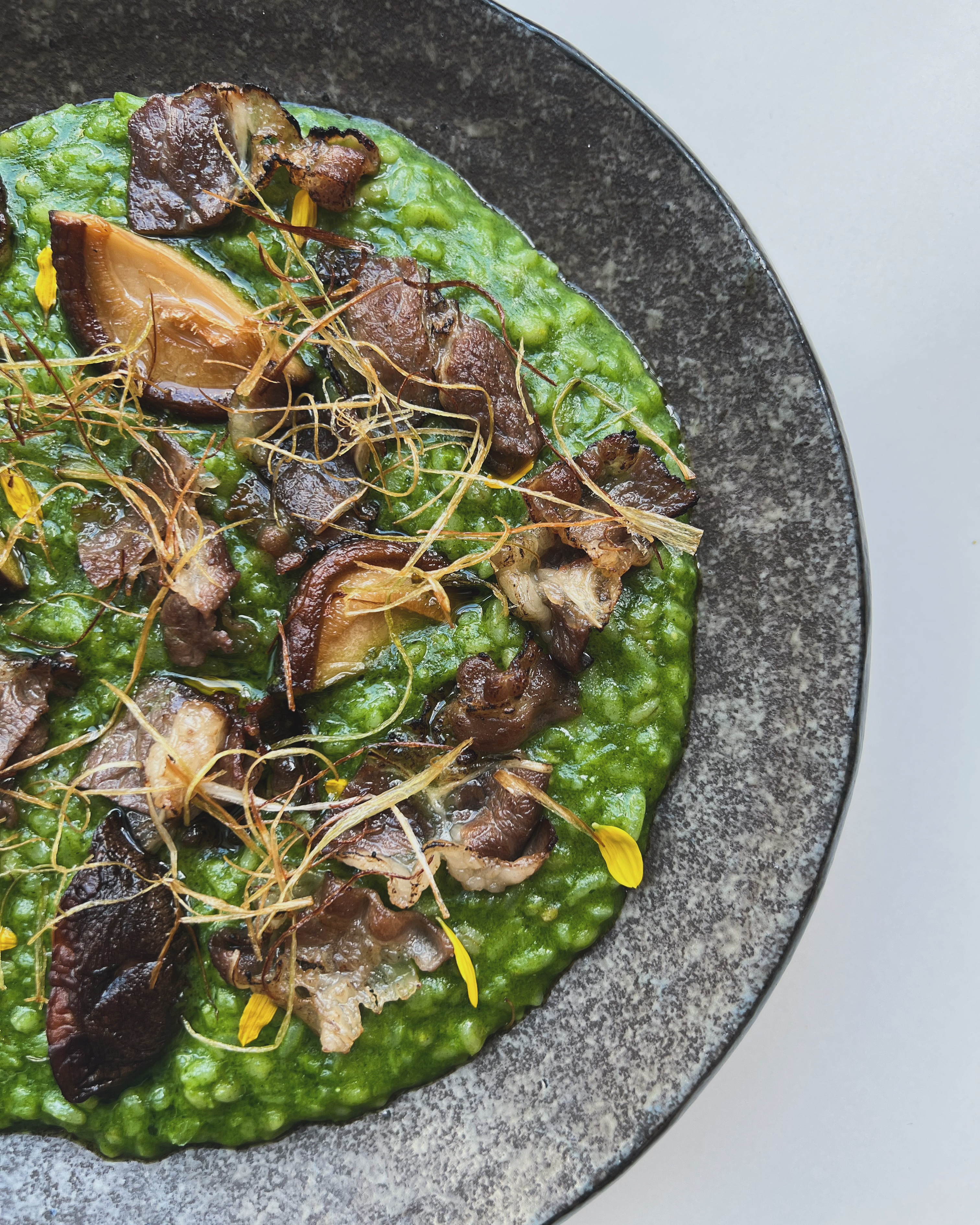 dooop terrace near Seoul Forest with greenery and brunch plates