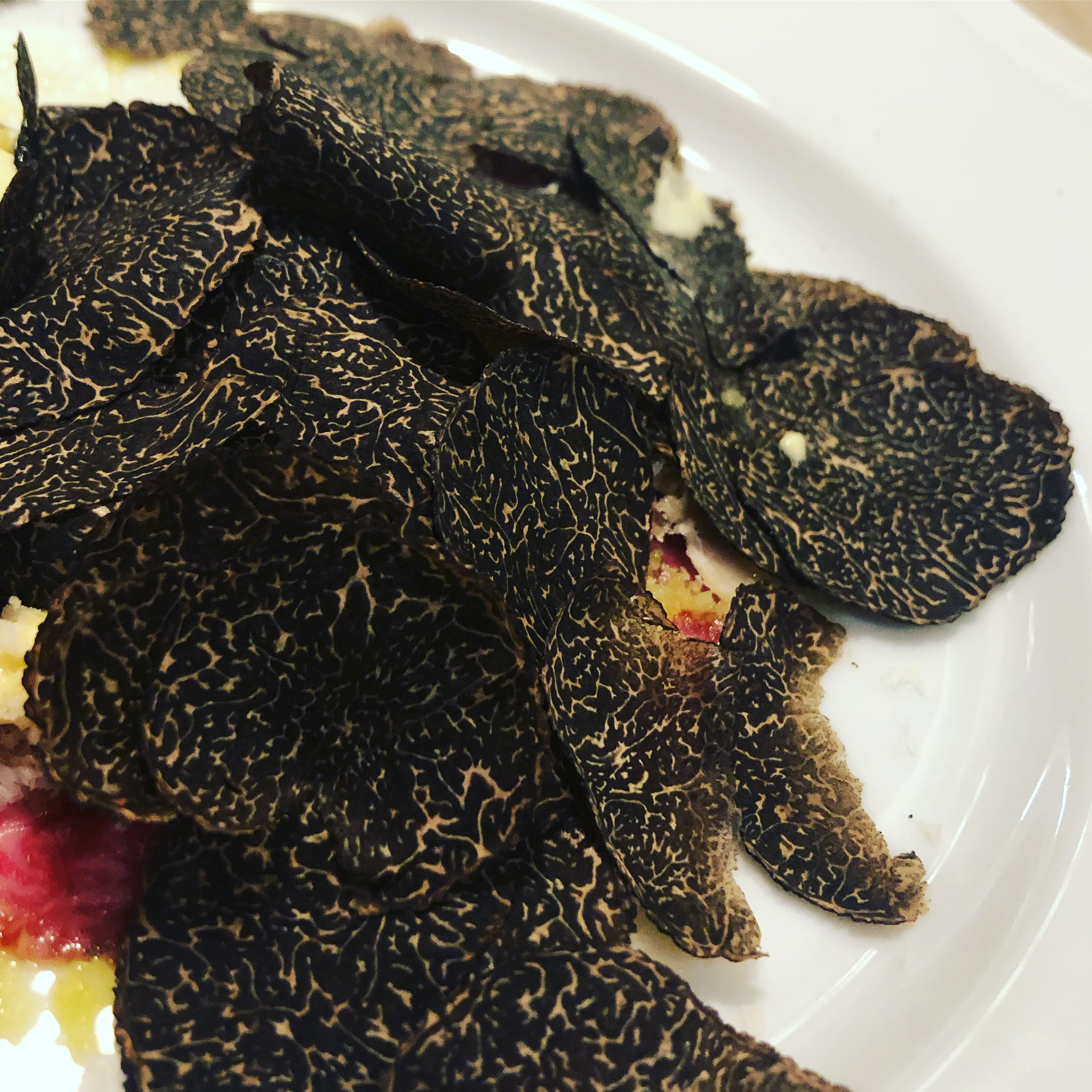 LA MORRA意大利菜与红酒搭配