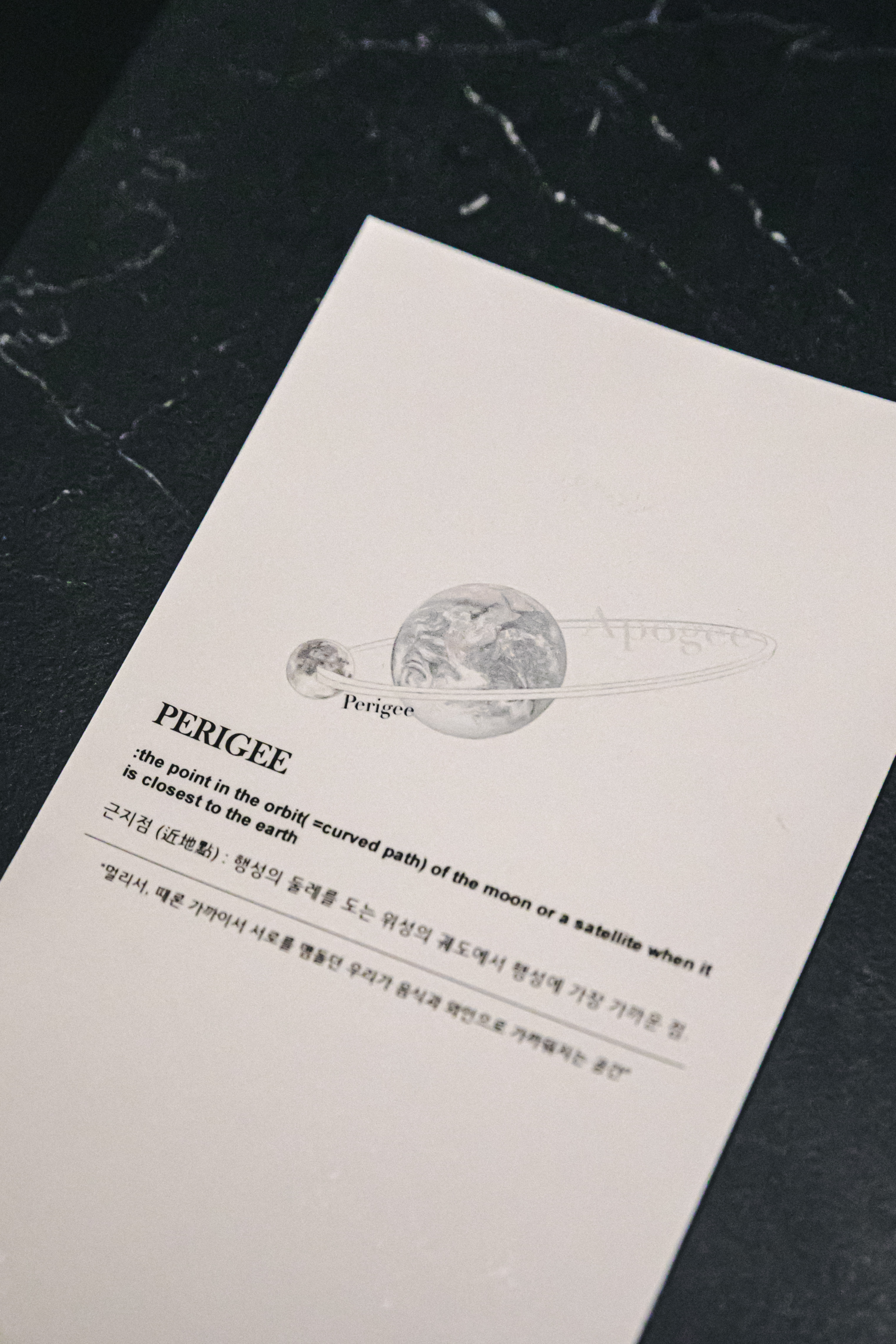 PERIGEE pasta and steak plating with wine pairing - Image 2