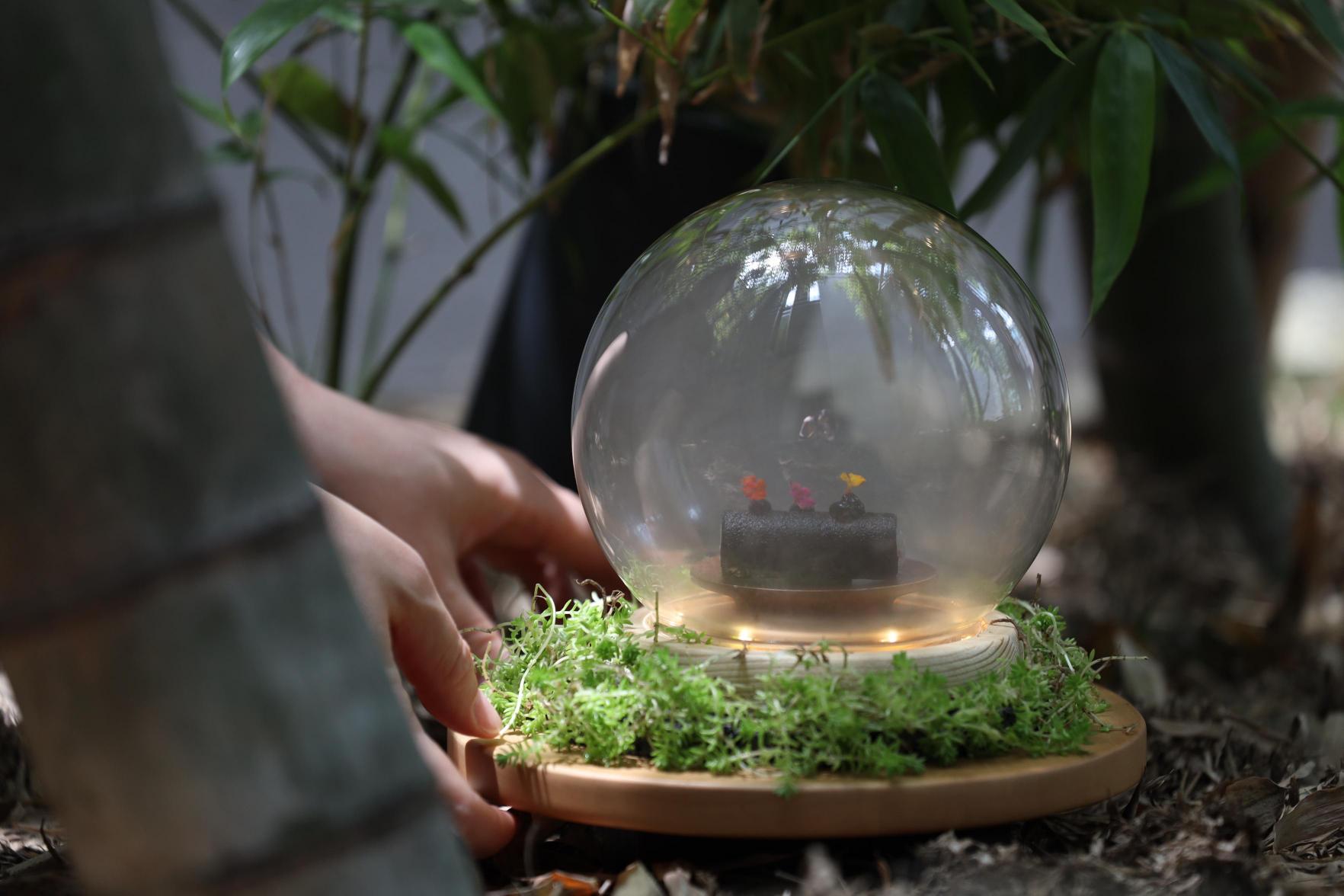 Yeoumul bar counter with seasonal seafood course