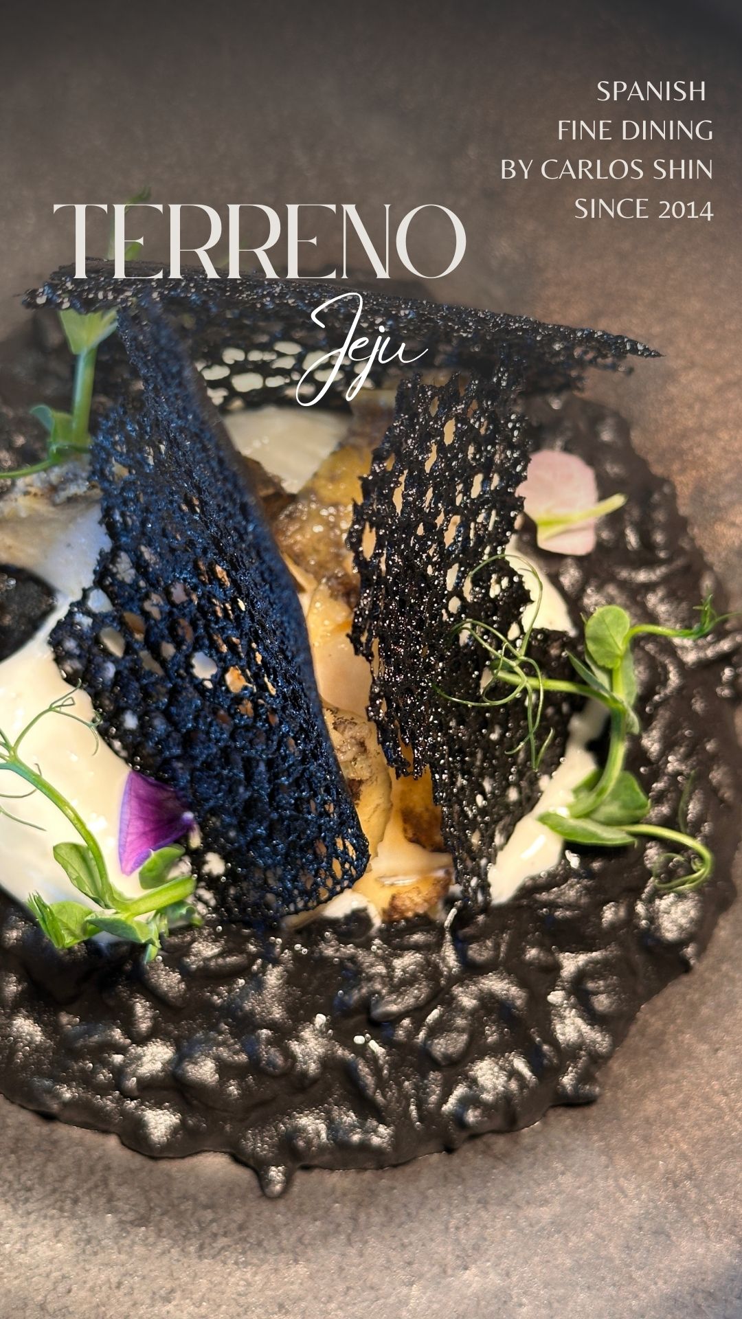 TERRENO JEJU Spanish dining at Parnas Hotel