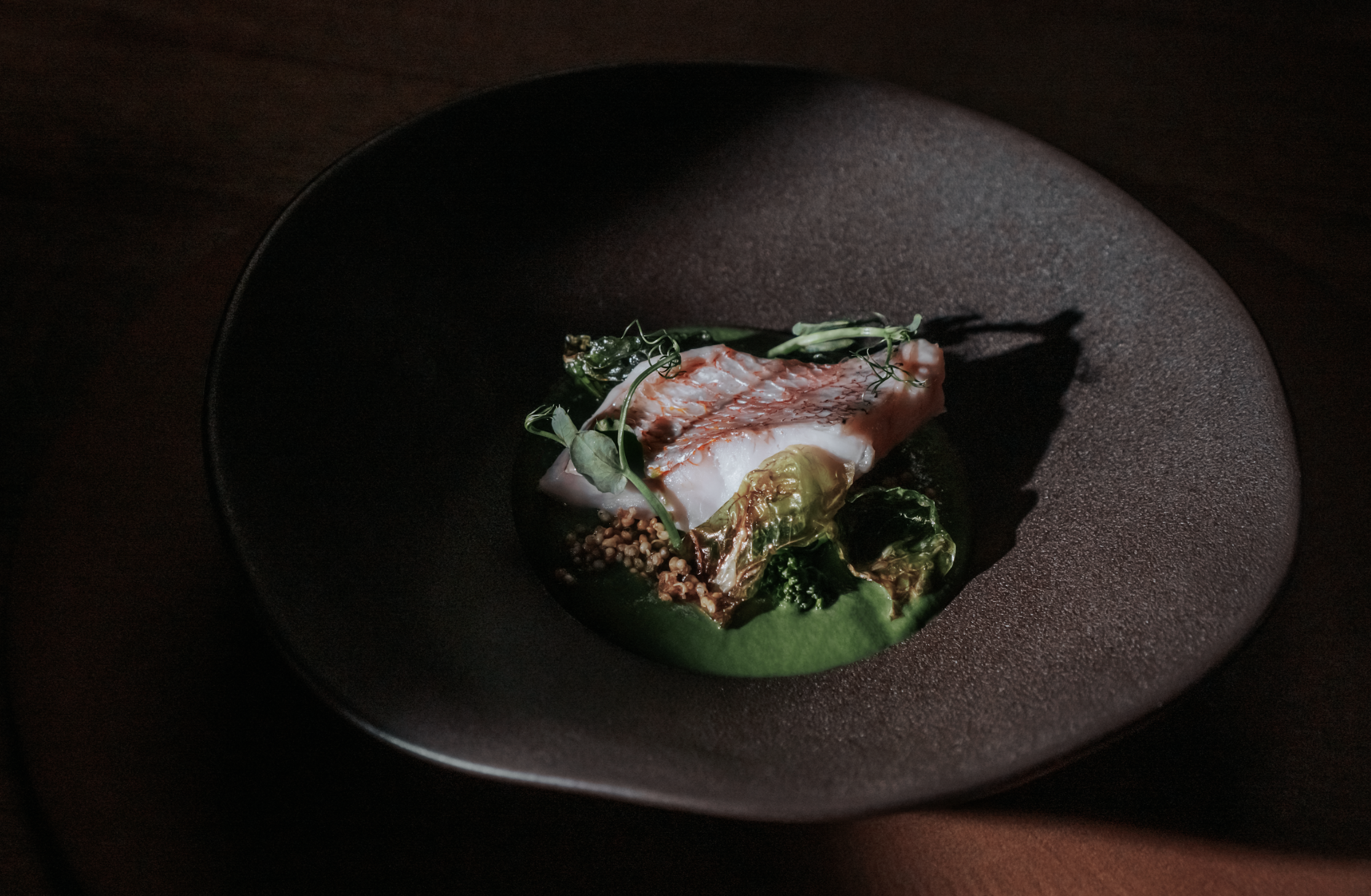 Escondido chef’s counter with Mexican courses and agave pairing