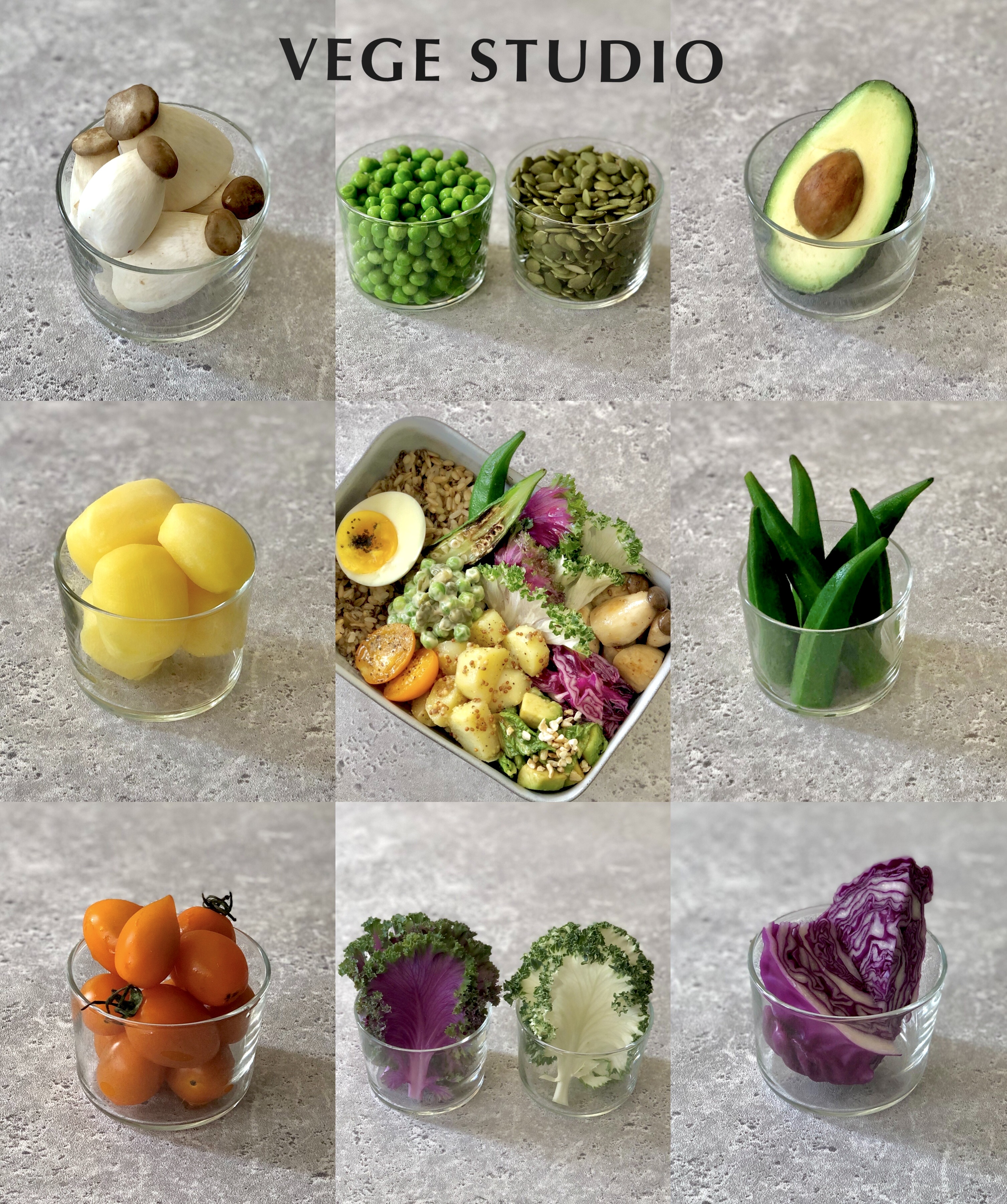 VEGE STUDIO fresh vegetable-forward plates in bright daytime space