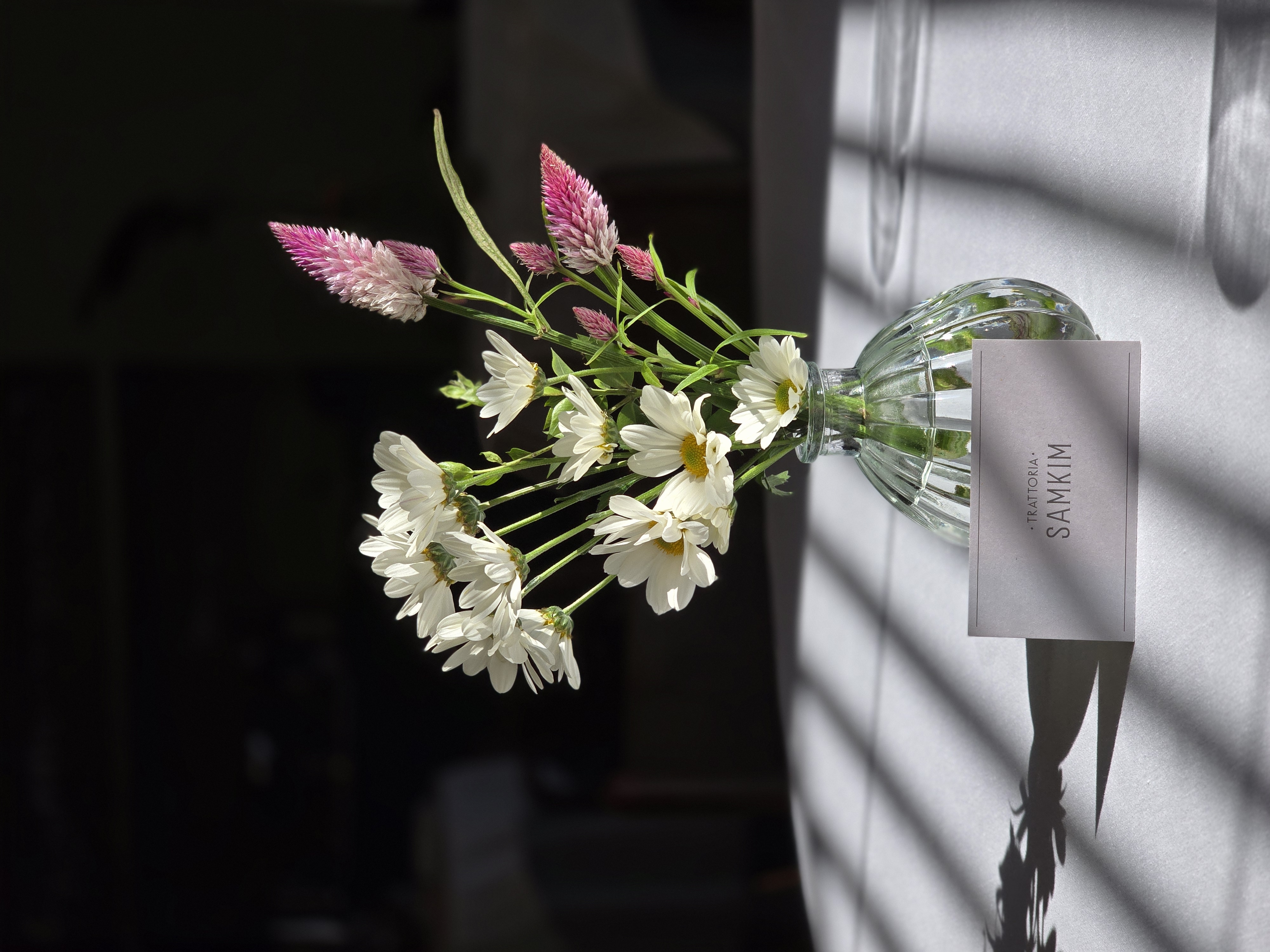 Open kitchen plating seasonal Italian courses at TRATTORIA SAMKIM - Image 4