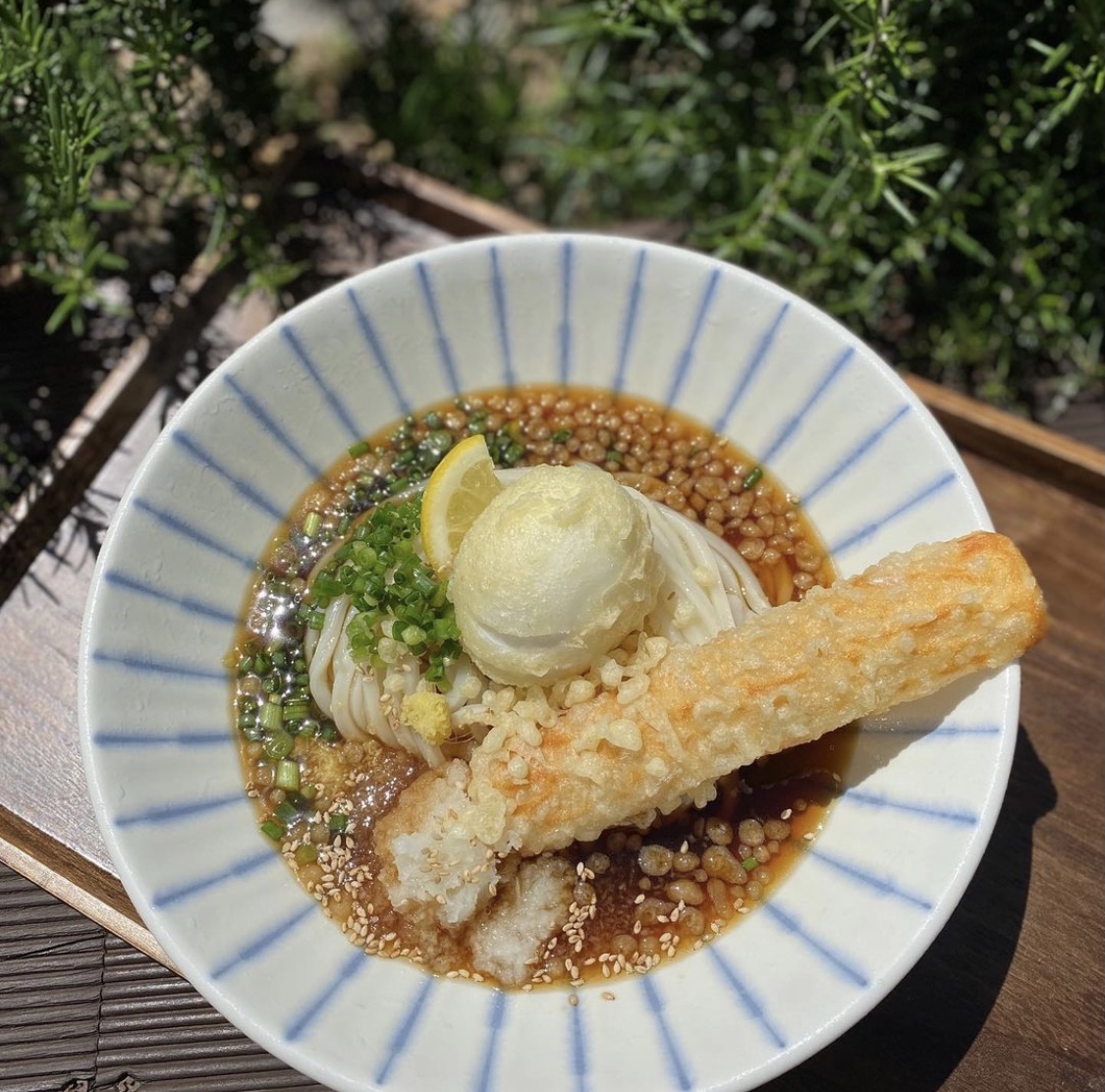 浜辺近くの協財スーうどんの豚カツとさつまあげ