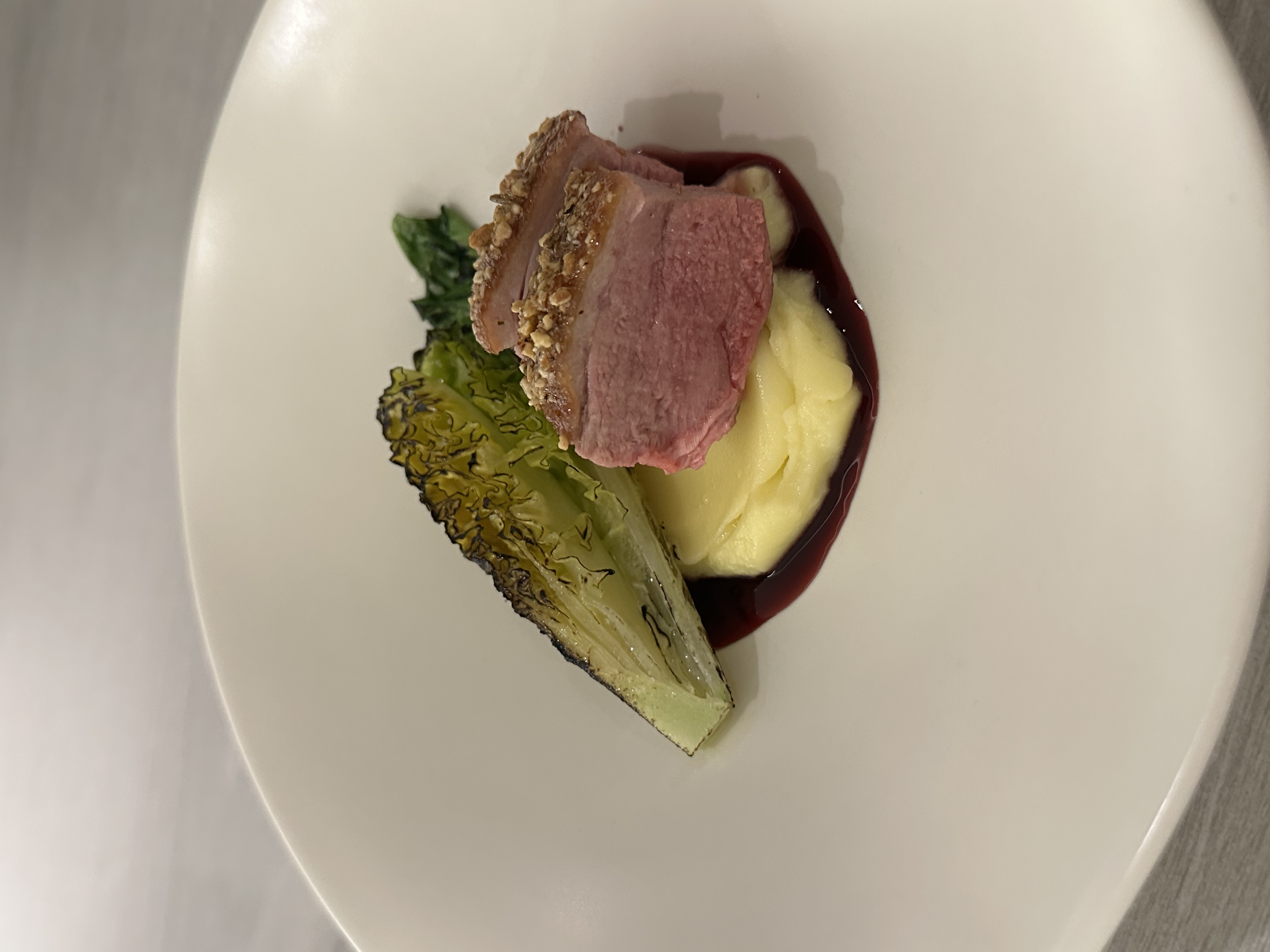 eclico modern pasta bar counter with plates of pasta