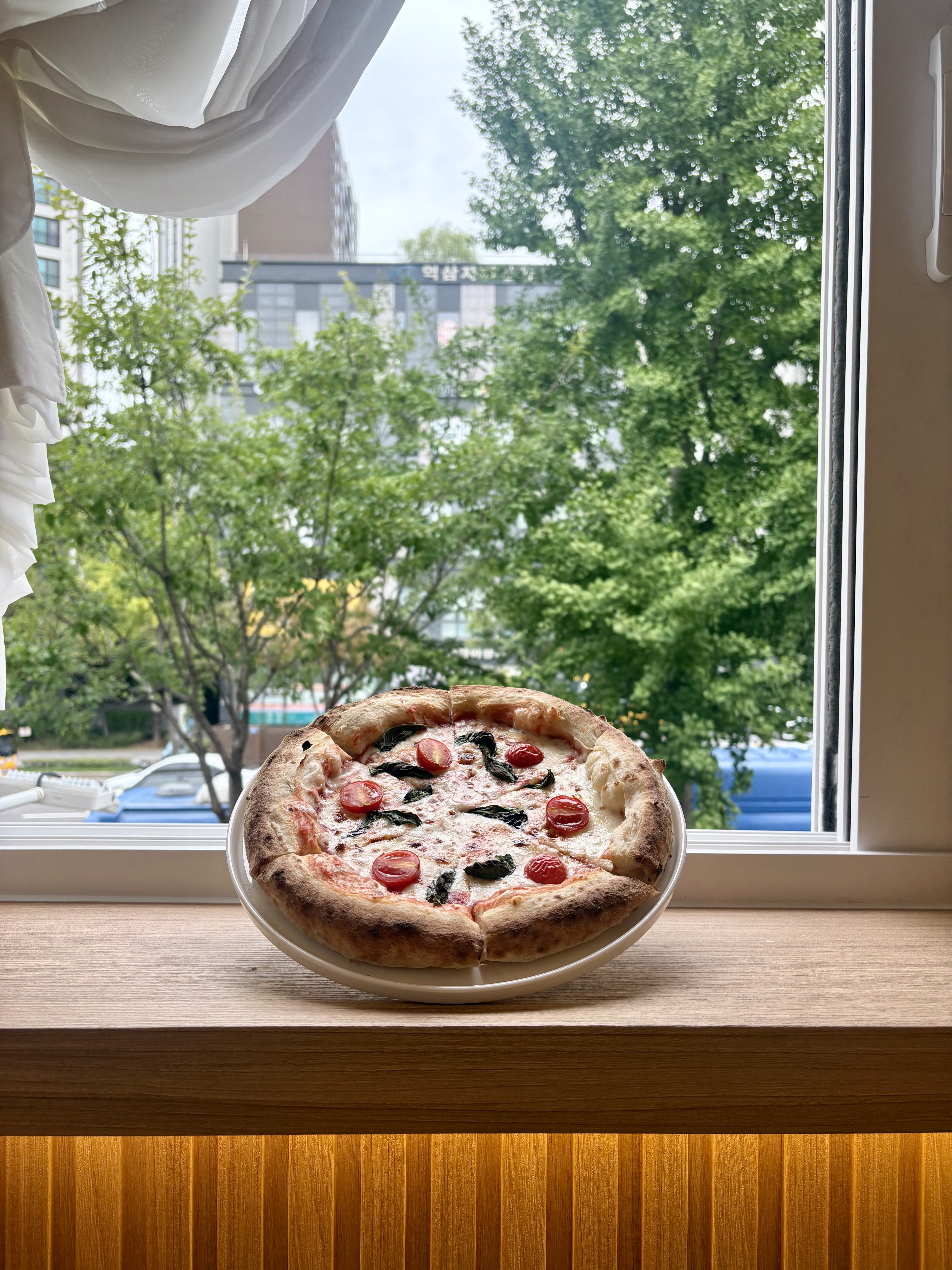 IELE FOREST canotto pizza with airy crust and pasta