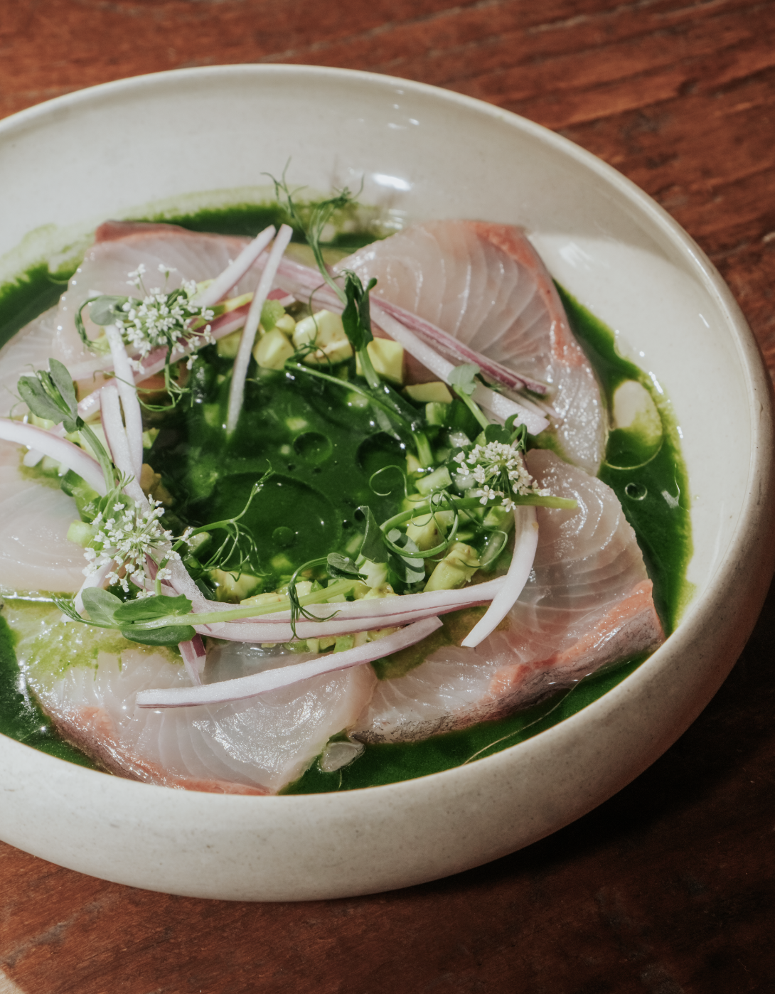 EL MOLINO contemporary Mexican plates with tacos and tostadas