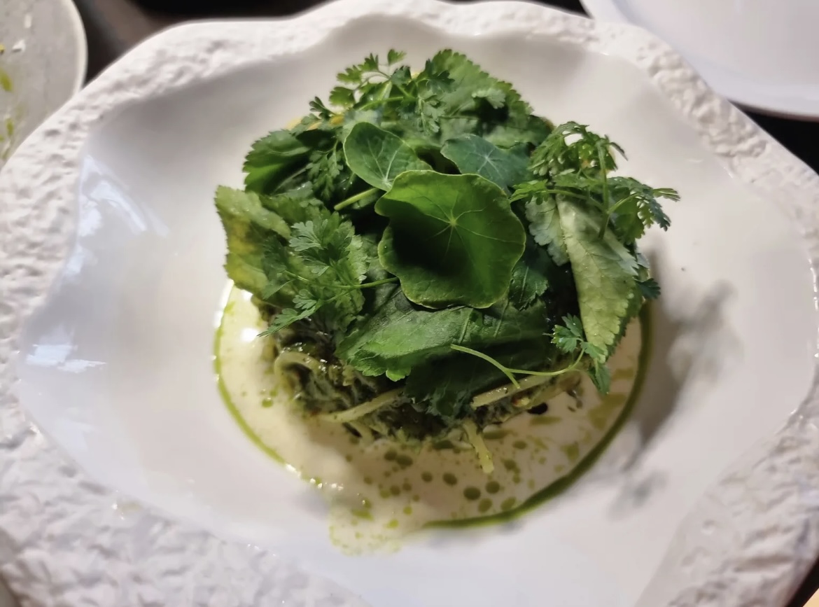 DANJUNG bar counter with curated wine bottles and seasonal plates