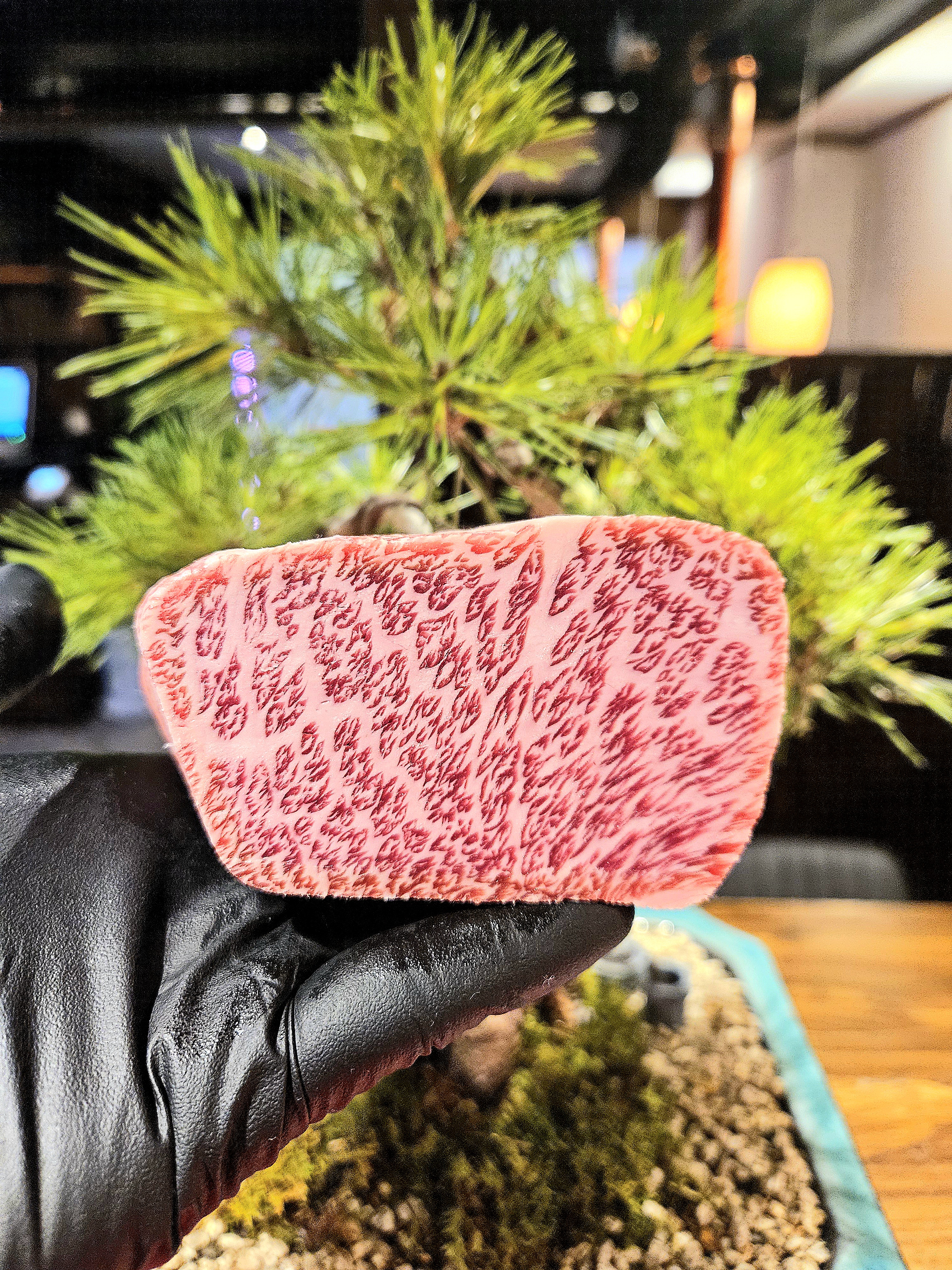 Horangdo premium 1++ hanwoo on charcoal in Seongsu