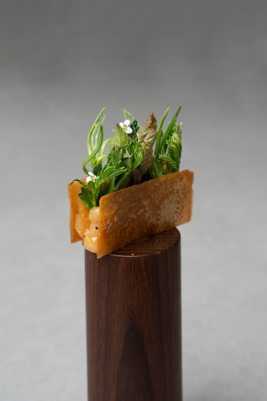 SOIGNE: contemporary cuisine of Seoul with layered textures - Image 5