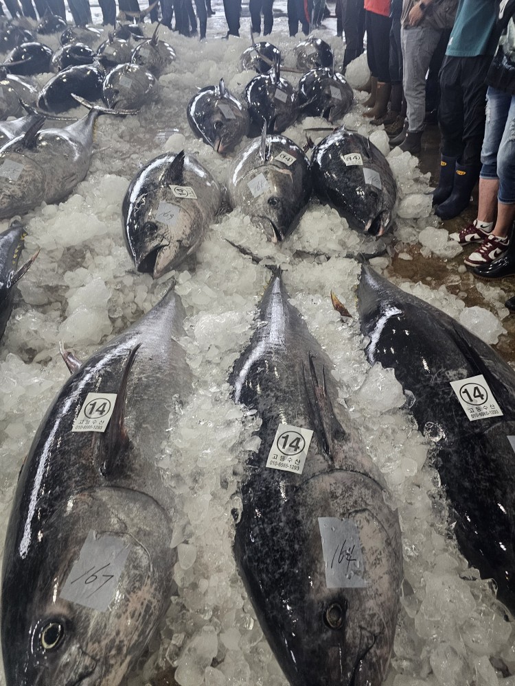 Sushi wooroko omakase course at the counter in Yeonsinnae