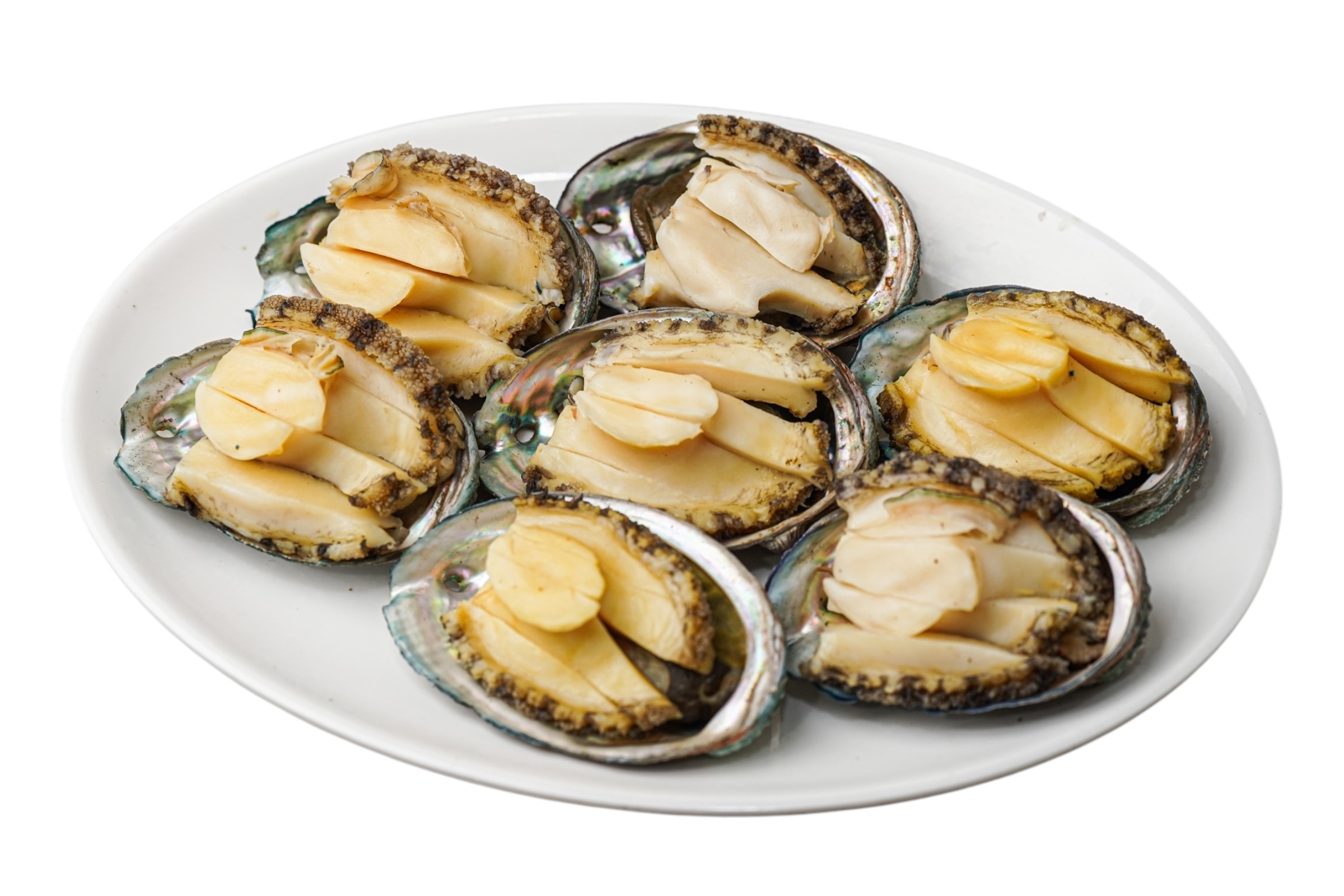 Steamed Abalone, Small