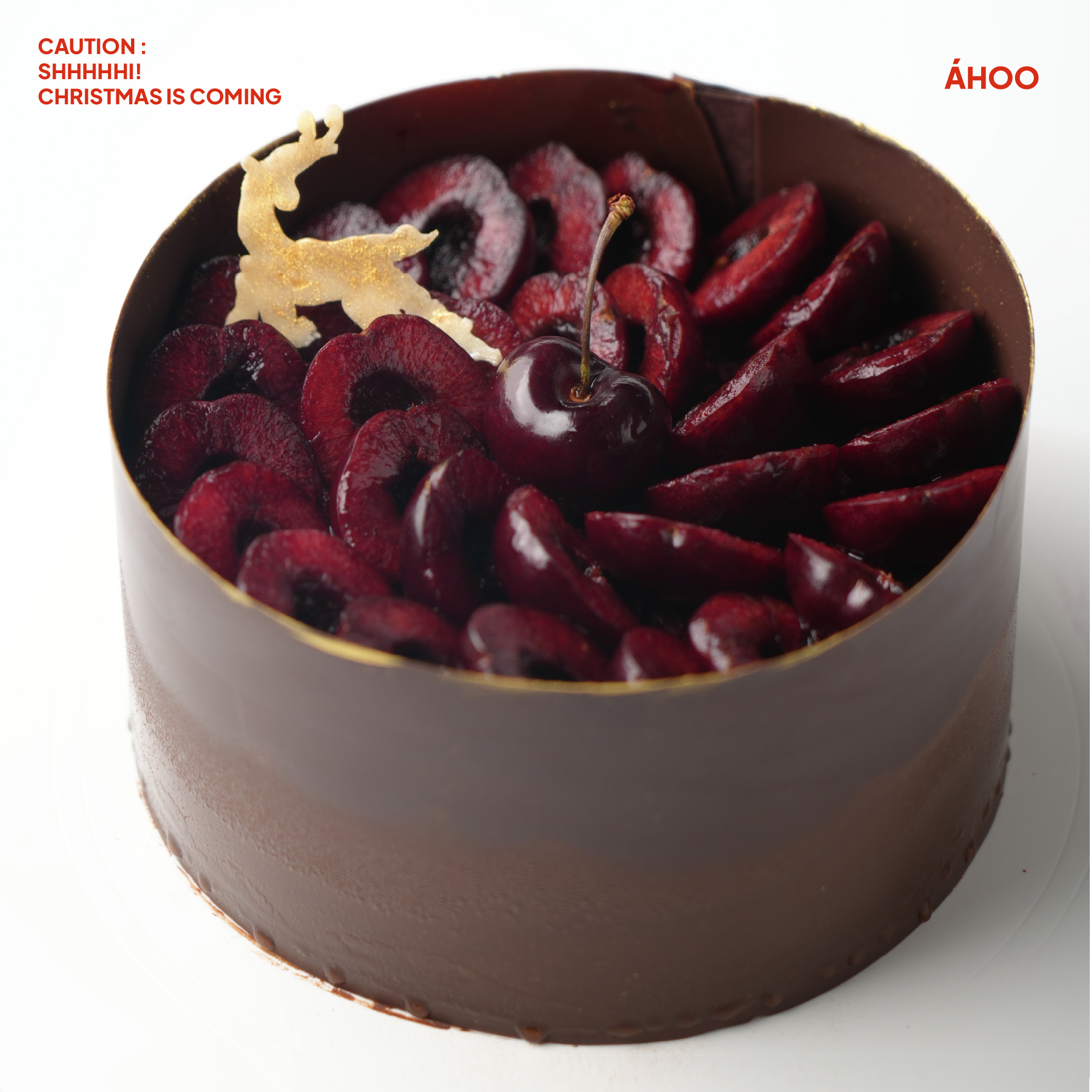 아후(AHOO)